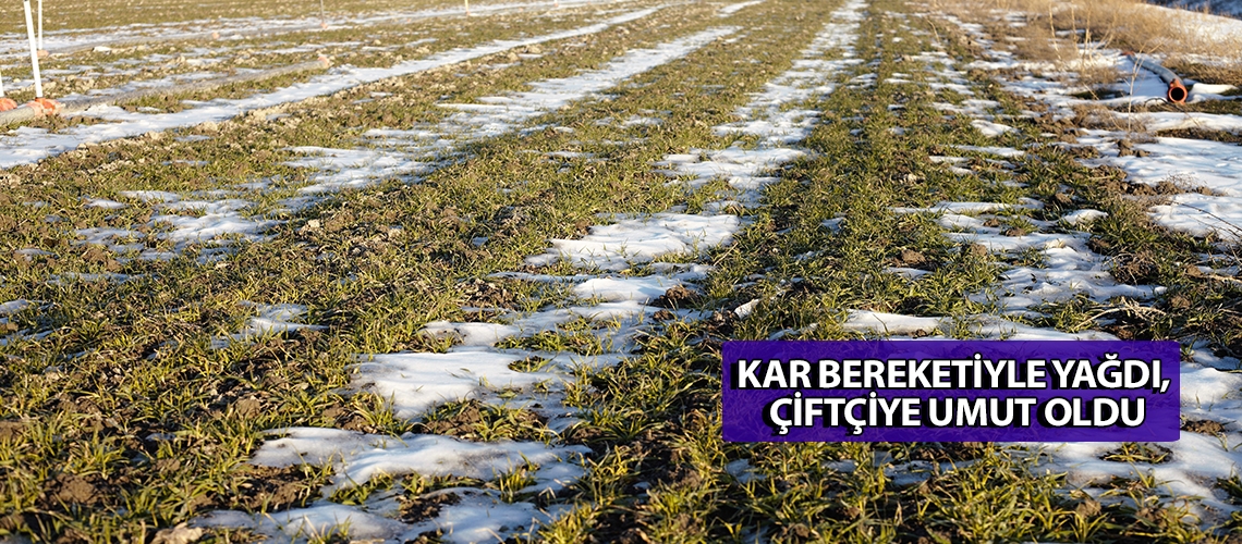 Kar bereketiyle yağdı, çiftçiye umut oldu