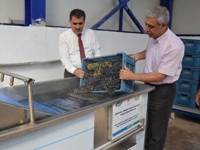 Yeni sezon pekmez üretimi Konya’da başladı