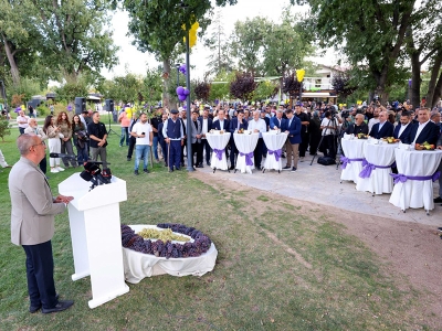 Konya'da bağbozumu coşkusu