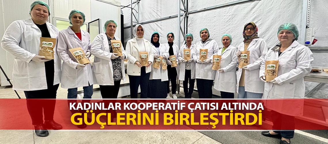 Kadınlar kooperatif çatısı altında güçlerini birleştirdi