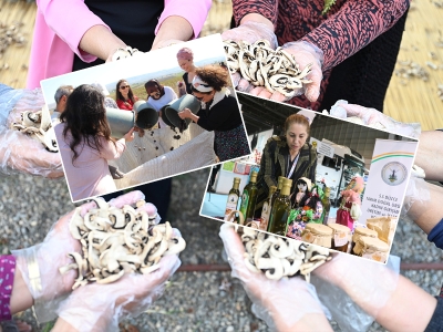 Kooperatiflerde “derecelendirme” uygulaması başlıyor