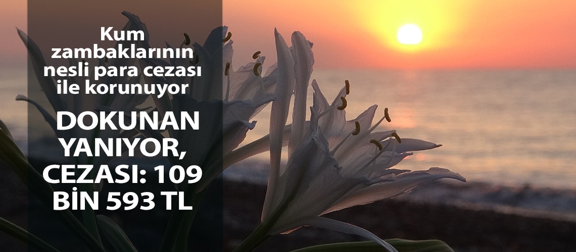 Dokunan yanıyor, cezası: 109 bin 593 TL