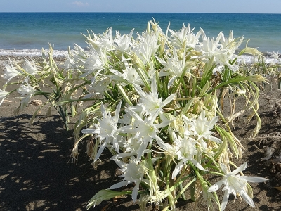 Dokunan yanıyor, cezası: 109 bin 593 TL