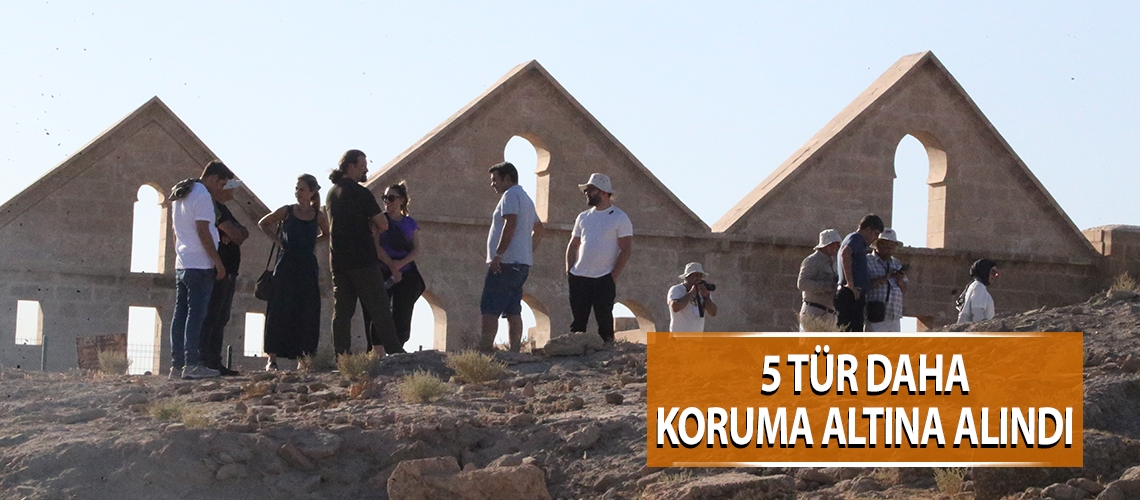 5 tür daha koruma altına alındı
