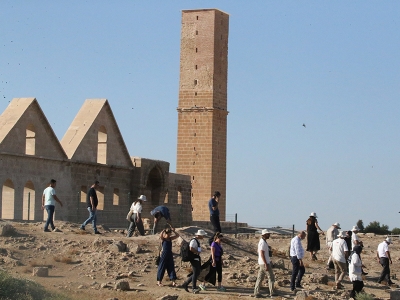 5 tür daha koruma altına alındı