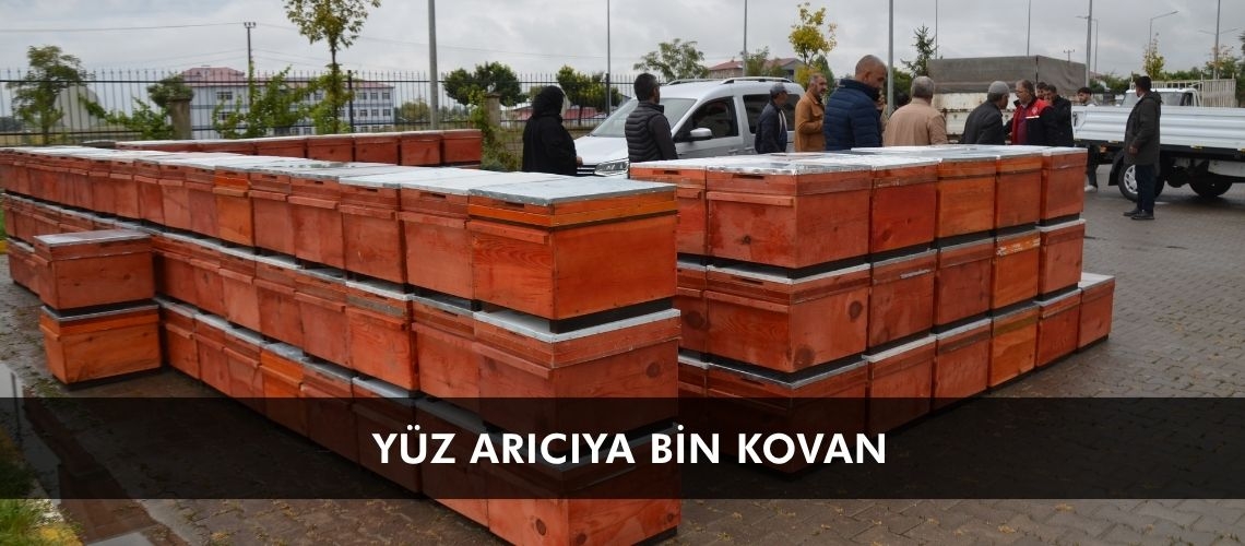 Yüz arıcıya bin kovan