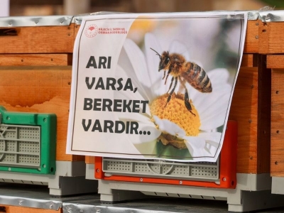 Bilecik'te arıcılara bin kovan dağıtıldı