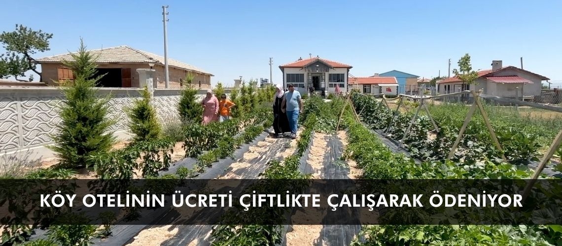 Köy otelinin ücreti çiftlikte çalışarak ödeniyor