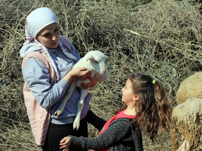 Devlet destekledi, kadın besici üretti