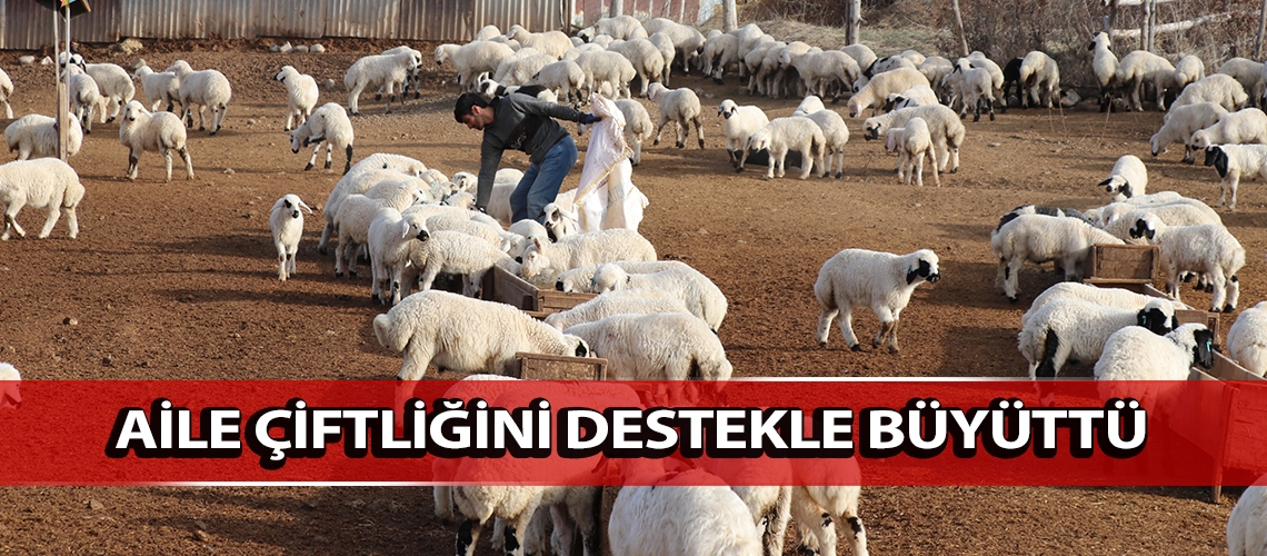 Aile çiftliğini destekle büyüttü