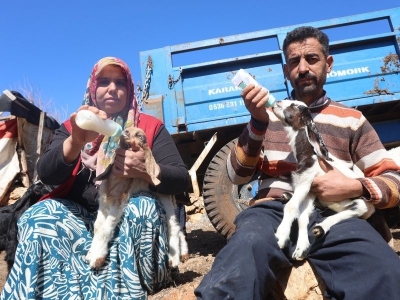 Yavrulara anne şefkatiyle bakıyorlar