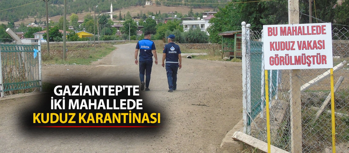 Gaziantep'te iki mahallede kuduz karantinası