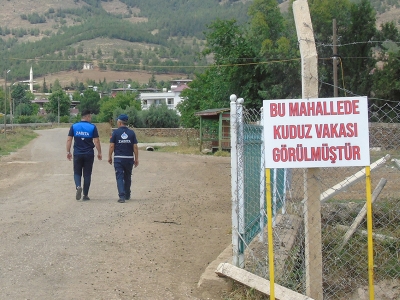 Gaziantep'te iki mahallede kuduz karantinası