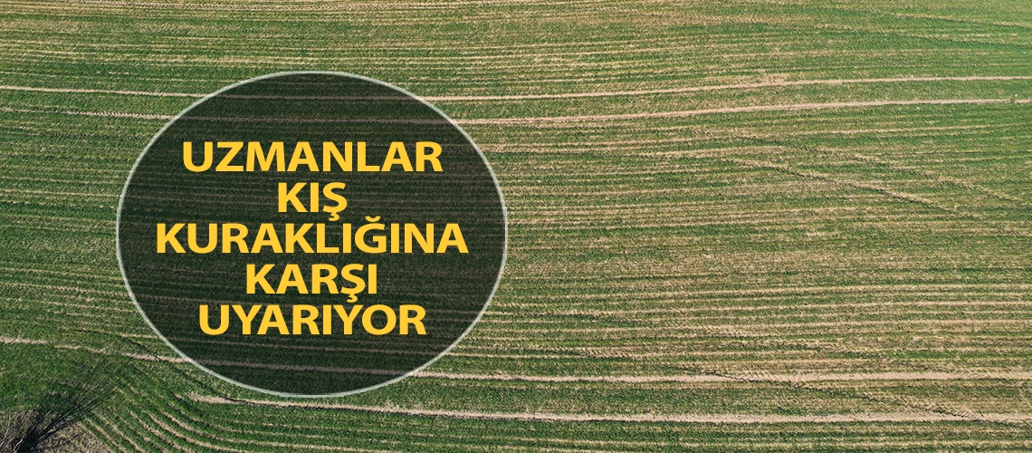 Uzmanlar kış kuraklığına karşı uyarıyor