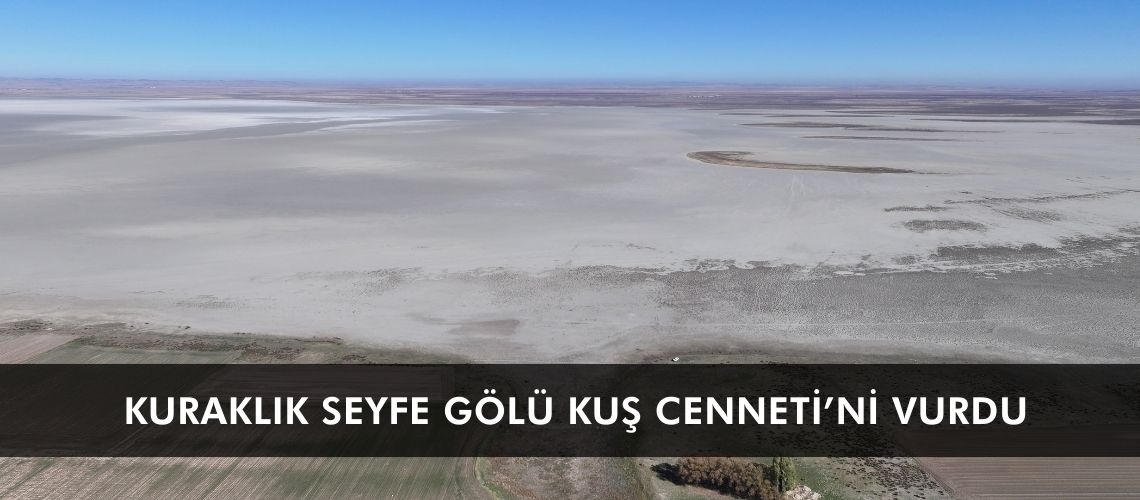 Kuraklık Seyfe Gölü Kuş Cenneti’ni vurdu