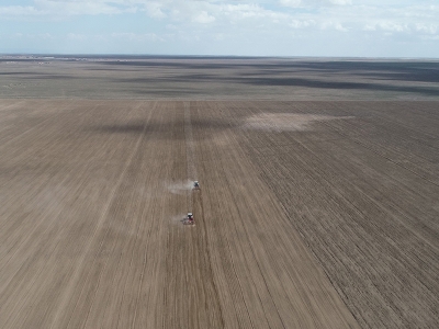 Kuraklığa dayanıklı çeşitler üreticinin hizmetine sunuldu
