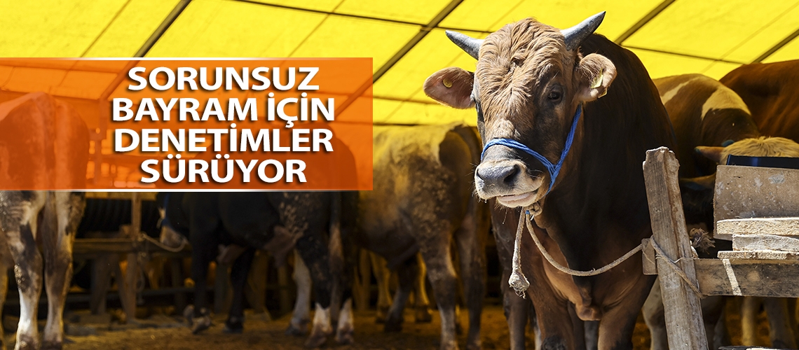 Sorunsuz bayram için denetimler sürüyor