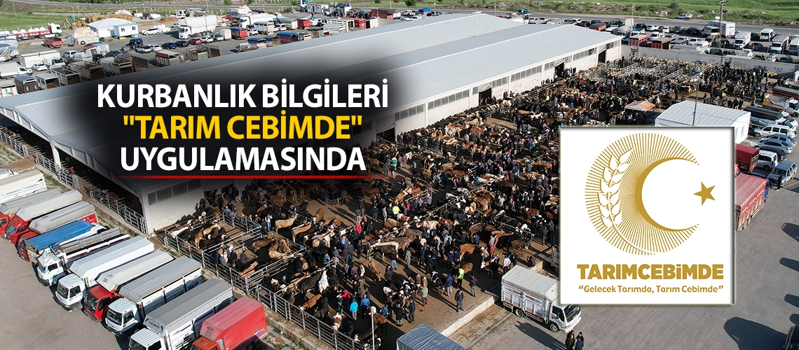 Kurbanlık bilgileri 