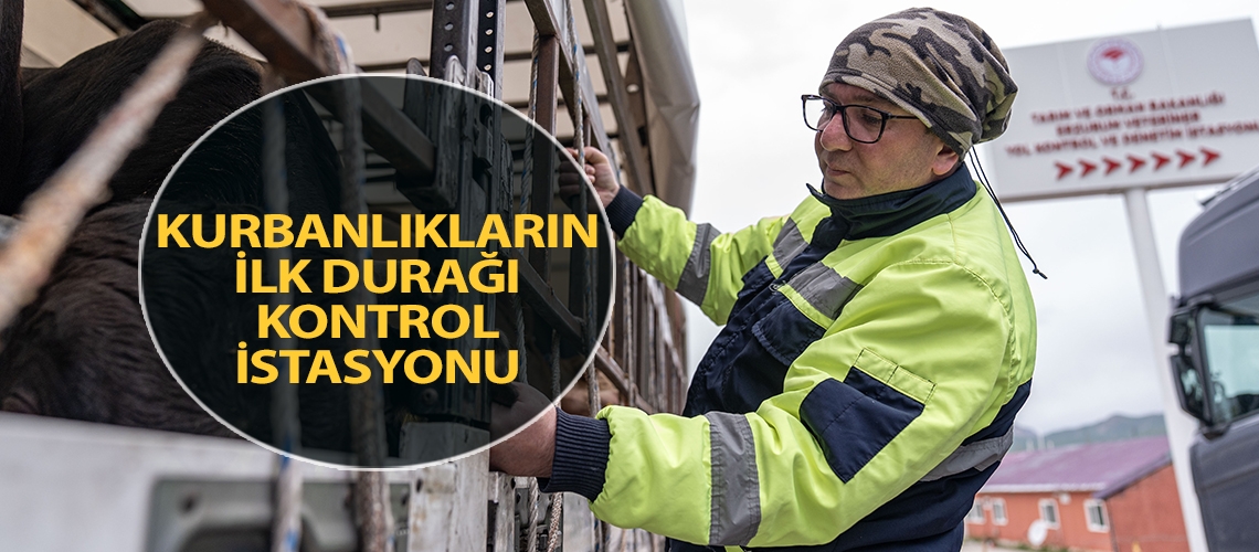 Kurbanlıkların ilk durağı kontrol istasyonu