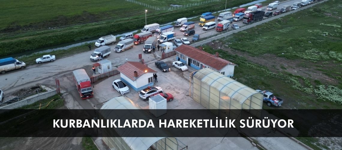 Kurbanlıklarda hareketlilik sürüyor