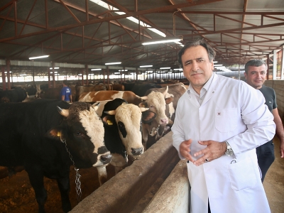 Kurbanlıkların İstanbul'a girişi 24 Haziran'da