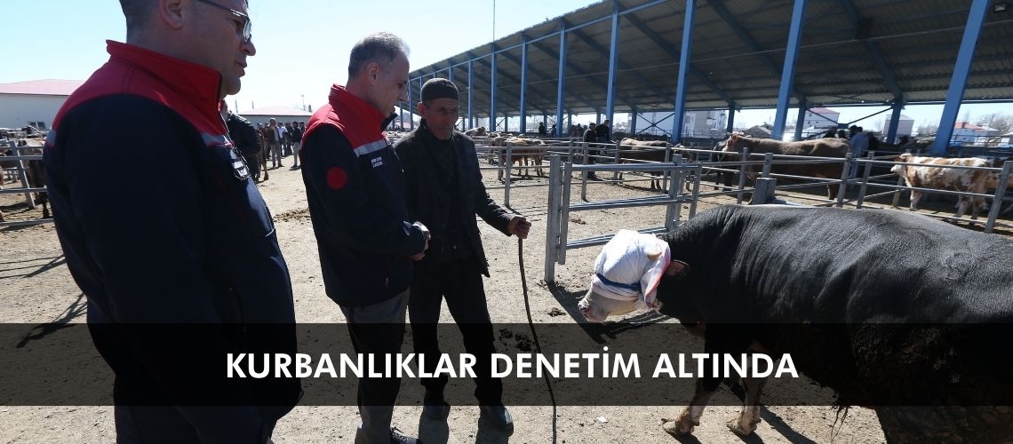 Kurbanlıklar denetim altında