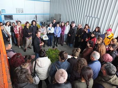 Tıbbi aromatik bitki yetiştiriciliği kurslarına yoğun ilgi