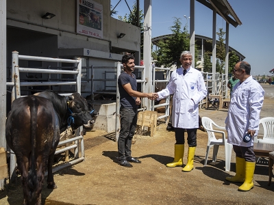 İthal kurbanlık yok