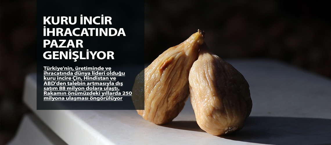 Kuru incir ihracatında pazar genişliyor