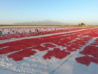 Erciyes’in etekleri kırmızıya boyandı