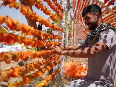 Gaziantep’te kurutmalık sezonu başladı