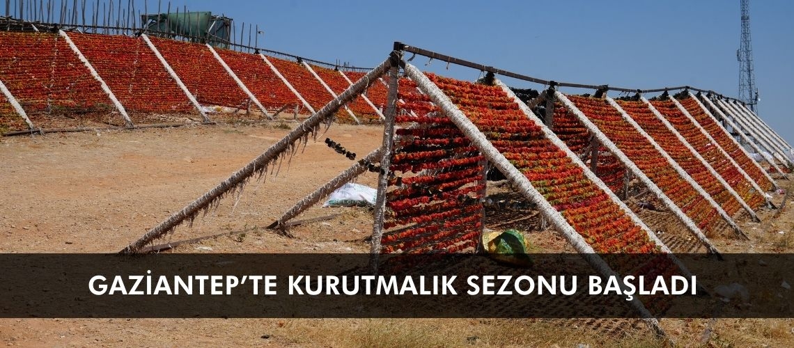 Gaziantep’te kurutmalık sezonu başladı