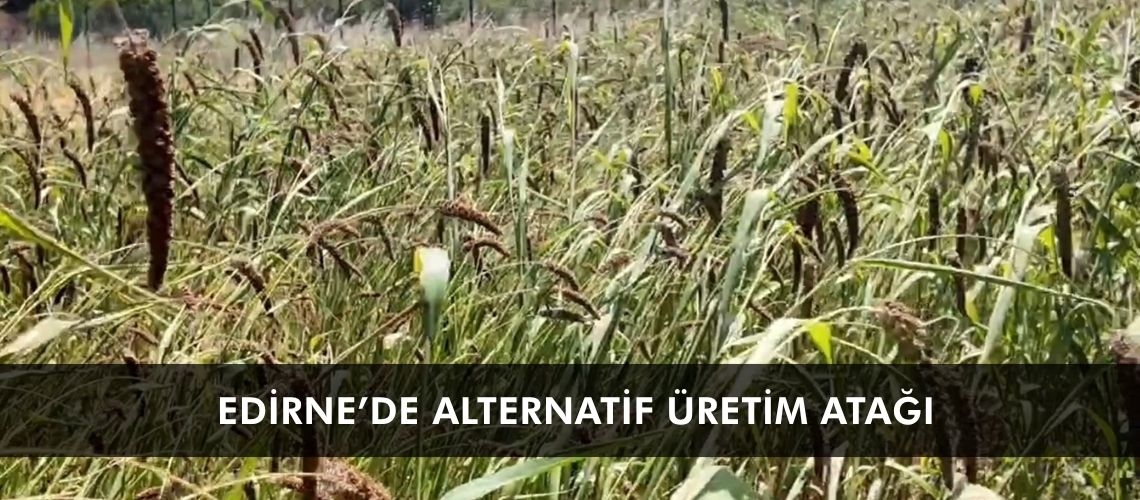 Edirne’de alternatif üretim atağı