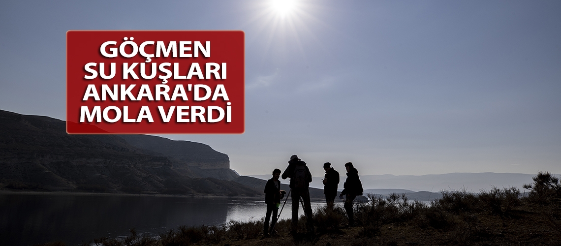 Göçmen su kuşları Ankara'da mola verdi