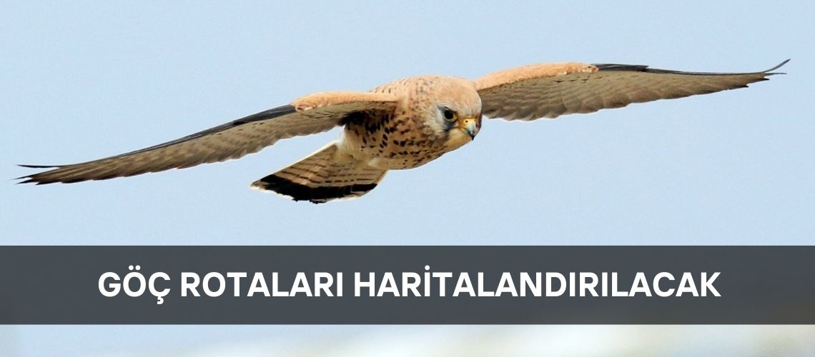 Göç rotaları haritalandırılacak