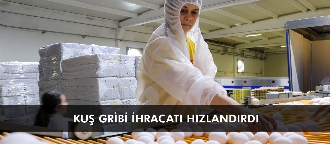 Kuş gribi ihracatı hızlandırdı