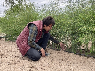 Girişimci ortaklar kuşkonmazla ihracatçı oldu