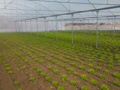 Kütahya’dan kırsalı kalkındıracak 74 proje