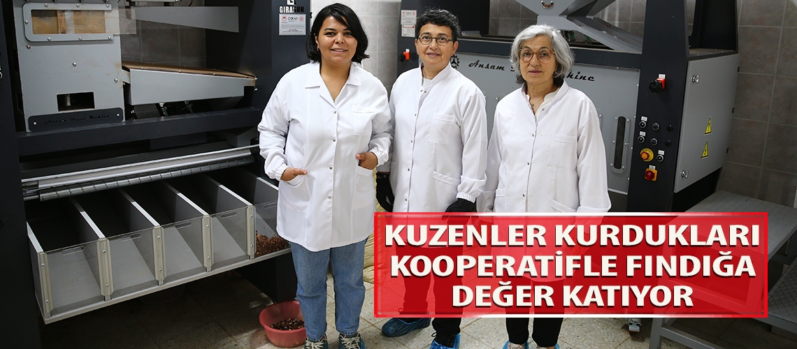 Kuzenler kurdukları kooperatifle fındığa değer katıyor