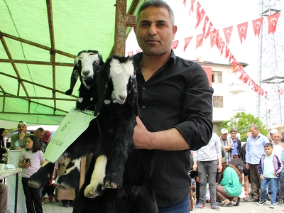 Kuzu, oğlak ve buzağılar podyuma çıktı