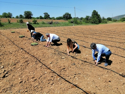 Lavanta yağı üreticinin yeni gelir kapısı