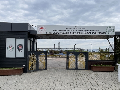 Endemik cennetteki bitkiler şifalı çaylara dönüşecek