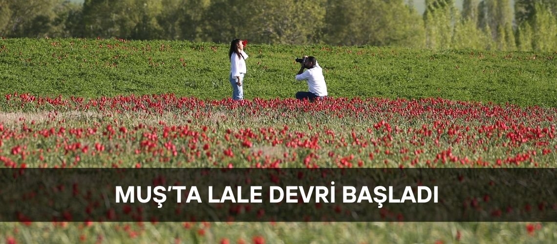 Muş’ta lale devri başladı