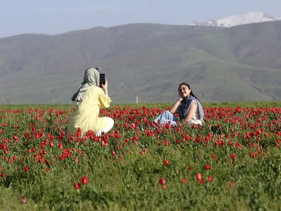Muş Ovası kızıla boyandı
