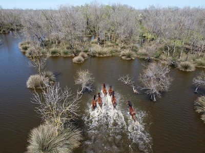Karacabey Longozu ziyaretçilerini bekliyor