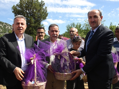 Mor hayaller festivalle taçlandı