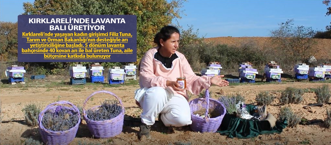 Kırklareli’nde lavanta balı üretiyor