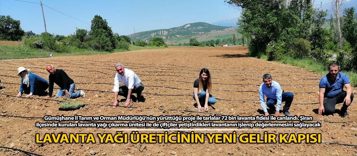 Lavanta yağı üreticinin yeni gelir kapısı