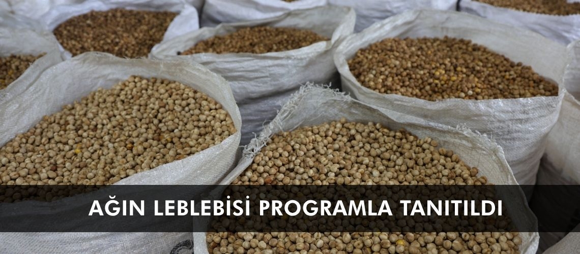 Ağın leblebisi programla tanıtıldı