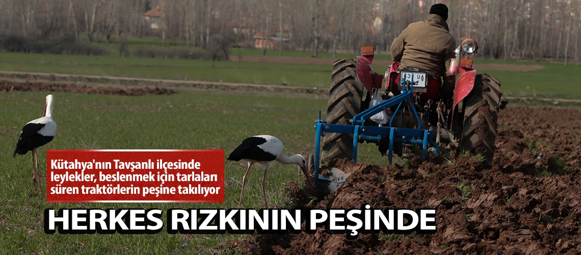 Herkes rızkının peşinde